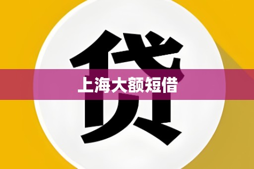 上海大额短借