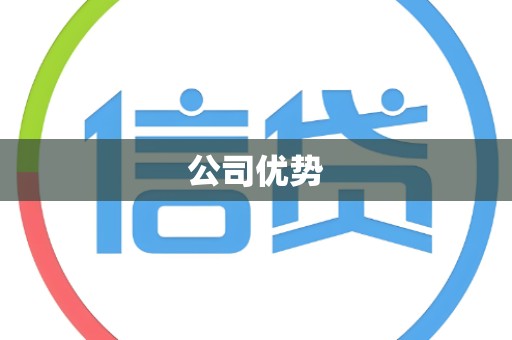 公司优势