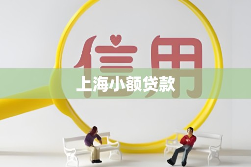 上海小额贷款